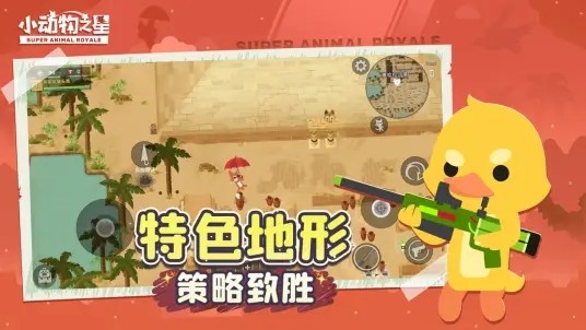 小动物之星b站最新版