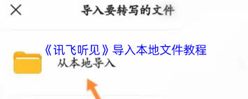 讯飞听见如何导入文件