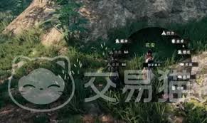 下一站江湖2花安在哪里