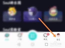 Soul如何关闭匹配