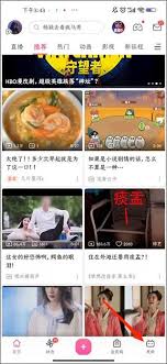哔哩哔哩如何查看自己点赞的视频