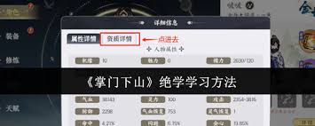 掌门下山绝学如何学习