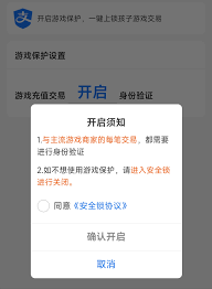 如何开启支付宝安全锁夜间保护
