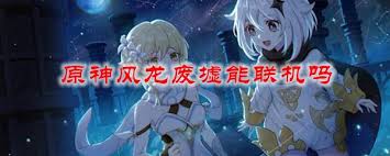 原神风龙废墟能不能联机