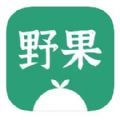 野果阅读追书免费版