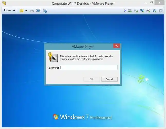 VMware Player无法下载怎么办