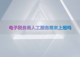 电子税务局人工客服周末是否上班