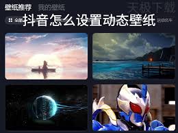 抖音怎么设置动态壁纸