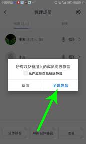 腾讯会议举手功能在哪找