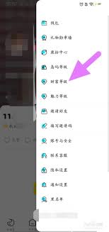赫兹app怎么开启财富等级