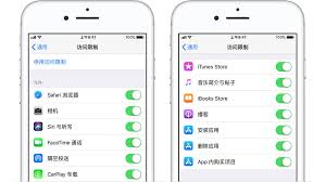 苹果访问限制针对哪些用户