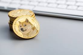 狗狗币未来升值空间大吗