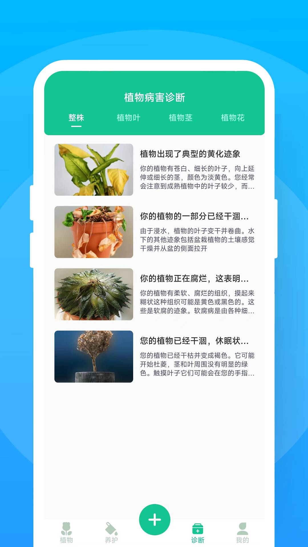 暖暖花花官网版