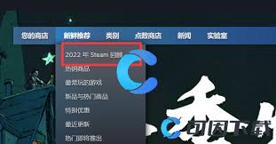 2022年steam回顾怎么看