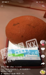 touchscale.点co手机版