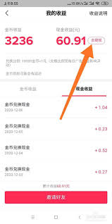 抖音极速版怎么看提现明细