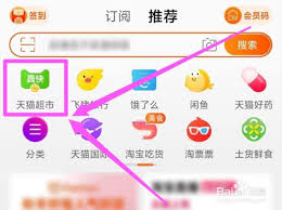 天猫超市半日达是否取消了