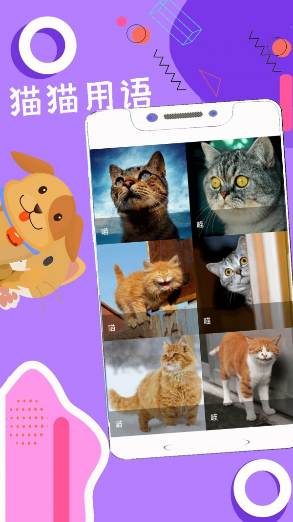 人狗猫猪翻译器最新版