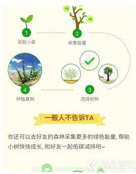 如何让支付宝蚂蚁森林能量涨得快