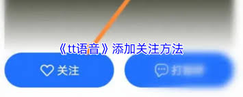 tt语音如何添加好友