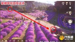 无限暖暖天真季史丢丢大搜寻任务怎么通关