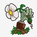 植物大战僵尸开花与终结最新版