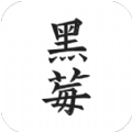 黑莓小说官网版