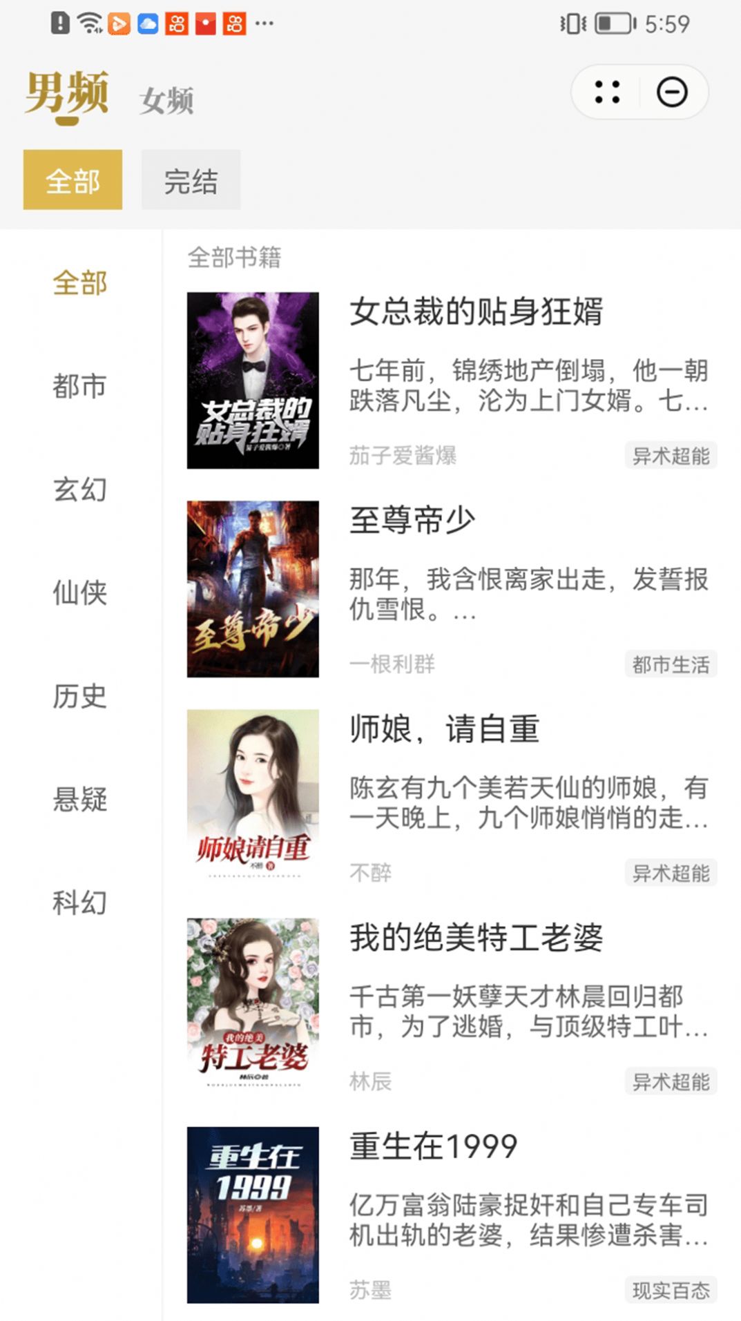 顽石小说纯净版