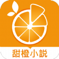甜橙小说定制版