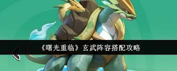 曙光重临玄武怎么玩
