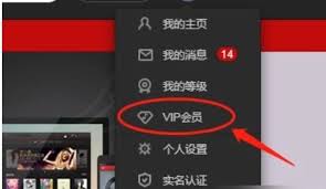网易云会员自动续费怎么关闭