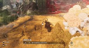 光与影33号远征队如何获取哥布鲁唱片