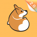 Corgi交友安卓版