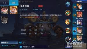 王者荣耀哪个英雄CD时间最短