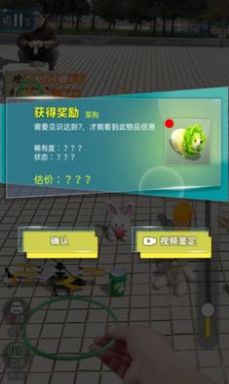 套圈盘老板免费版
