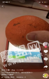 touchscale.点co官网版