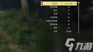 天国拯救2如何调亮度