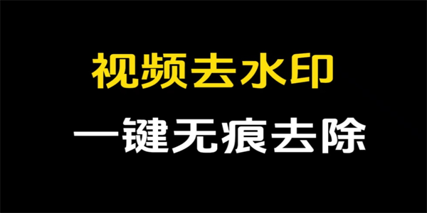 视频去水印
