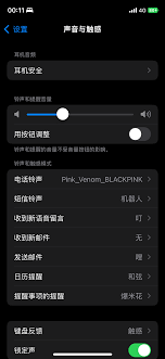 苹果手机如何设置打字静音