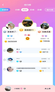 顽皮语音交友会员免登录