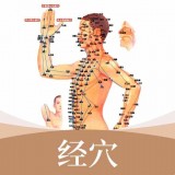 中医经络穴位最新版