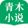 青木小说苹果版