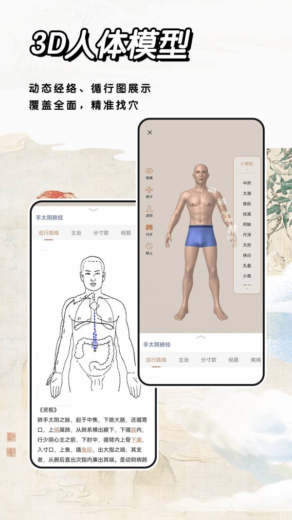 中医经络穴位免费版