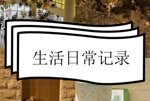 日常记录的手机app大全