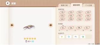 心动小镇如何钓溪蟹