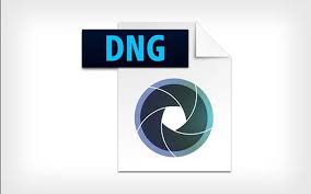 手机怎么看DNG格式图片