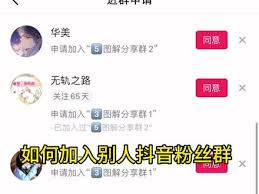 抖音粉丝群申请加入后如何操作