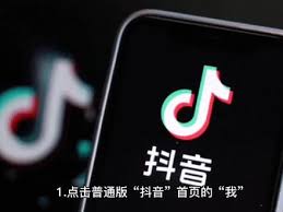 抖音高级版和普通版功能对比