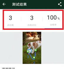 WiFi魔盒怎么使用