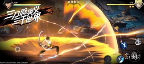 航海王壮志雄心如何培养小八